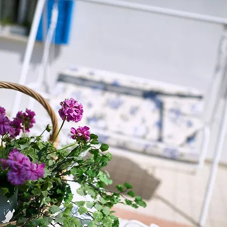 Ca Del Mar Rustico A Con Giardino E Piscina Privati Ad Uso Esclusivo # Jesolo